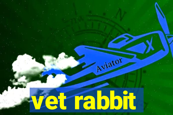 vet rabbit